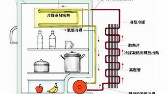 电冰箱的工作原理是什么初中所学的_电冰箱的工作原理是什么初中